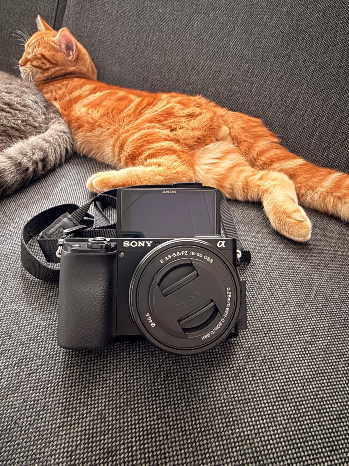 Sony A6100 + 16-50mm lens + tas | Zeer nette staat, Screenprotector, Ingebouwde flitser, Ophalen of Verzenden, Zo goed als nieuw