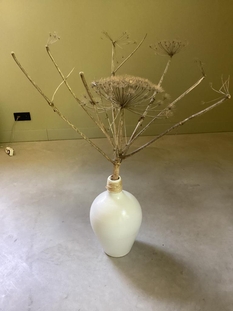 Grote witte vaas met gedroogde berenklauw, 50 cm, Ophalen, Wit