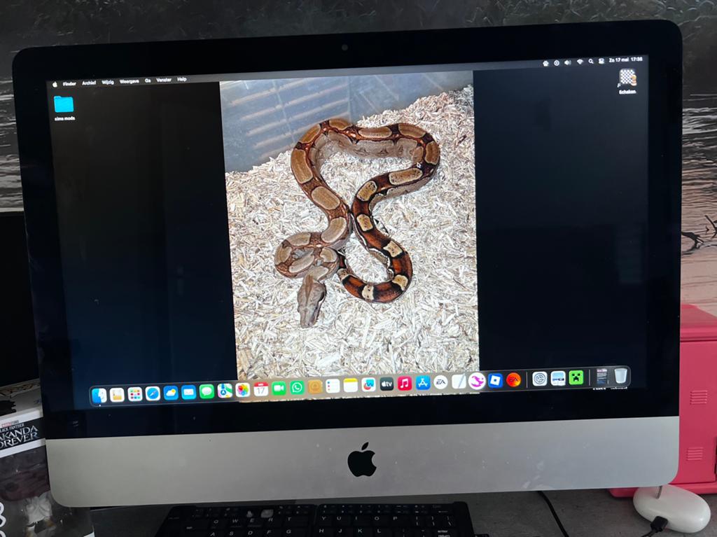 Imac 2017, Computers en Software, Apple Desktops, Ophalen, Gebruikt, 2 tot 3 Ghz, 8 GB