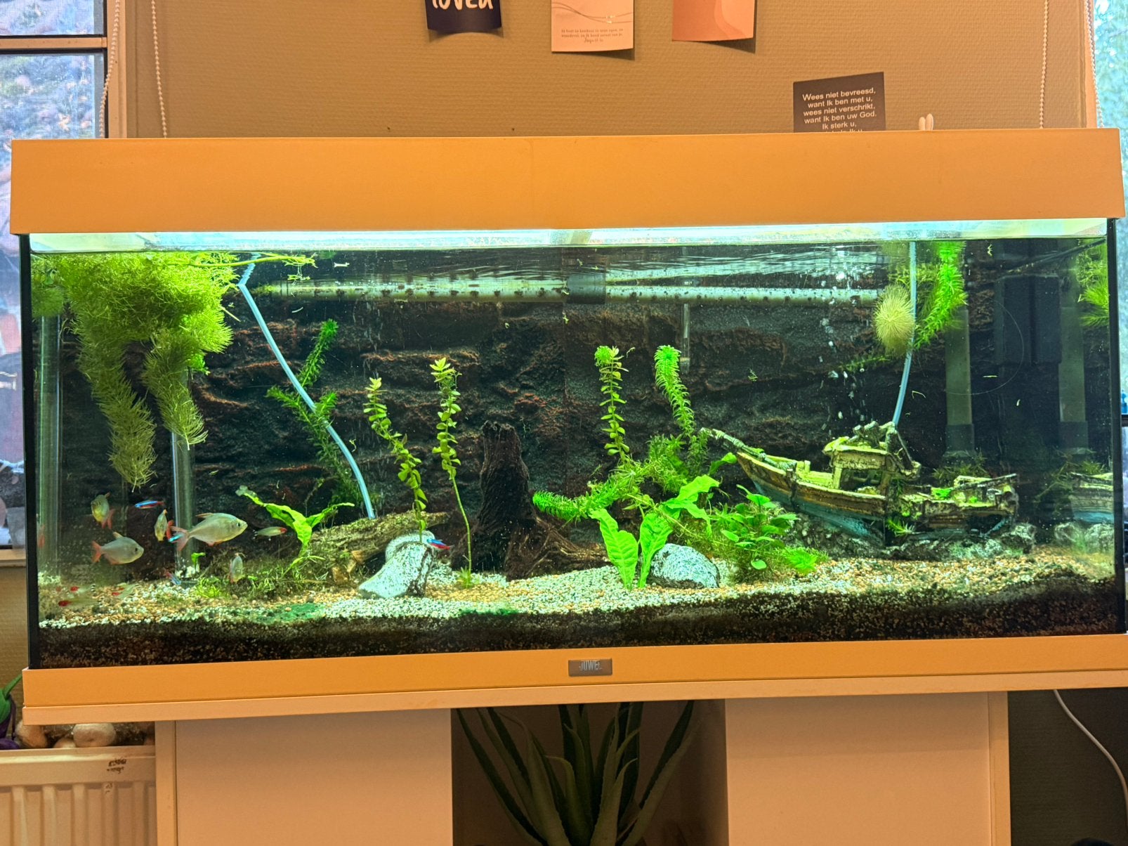 Juwel rio 180, Dieren en Toebehoren, Ophalen, Gebruikt, Leeg aquarium, Inclusief deksel