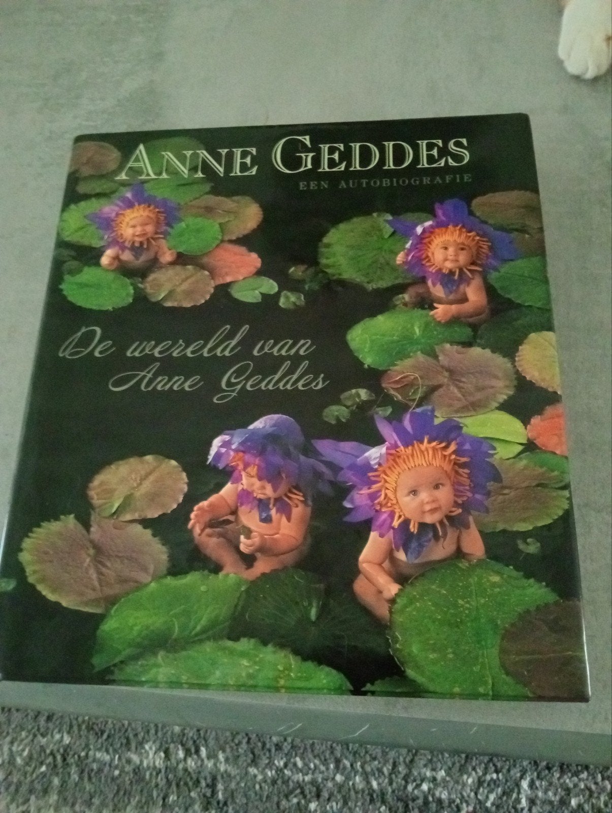 Anne Geddes: De wereld van Anne Geddes - Een autobiografie, Ophalen of Verzenden, Zo goed als nieuw, Anne Geddes, Kunst en Cultuur