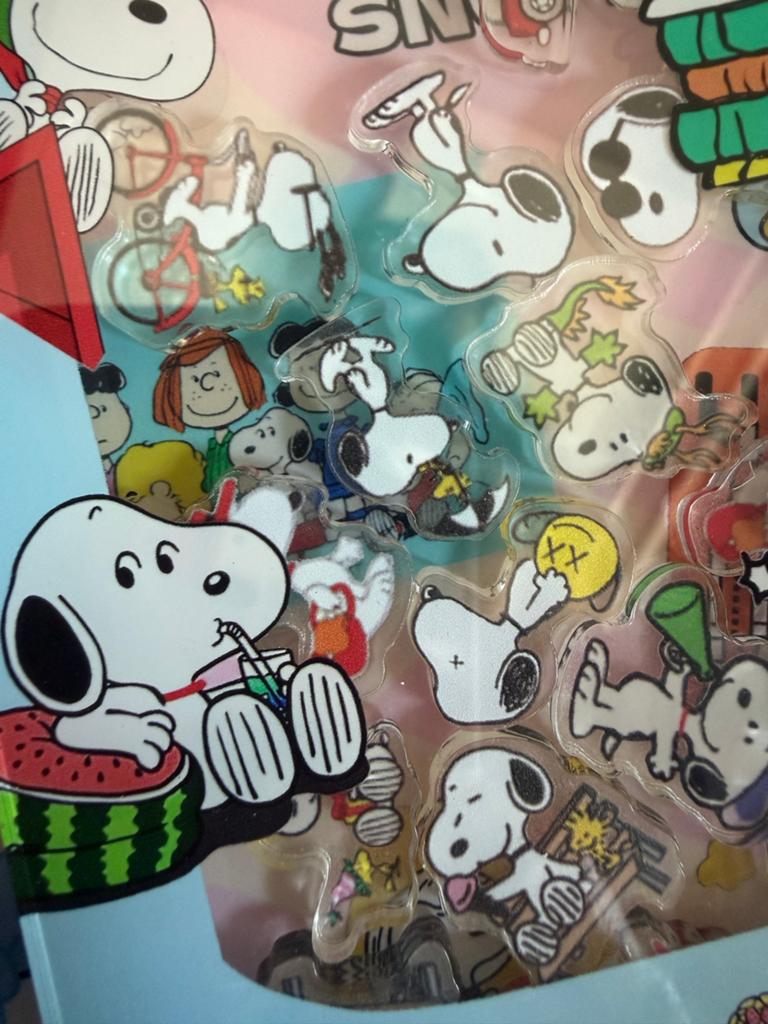 Snoopy Shaker Notitieboek, Ophalen of Verzenden, Zo goed als nieuw