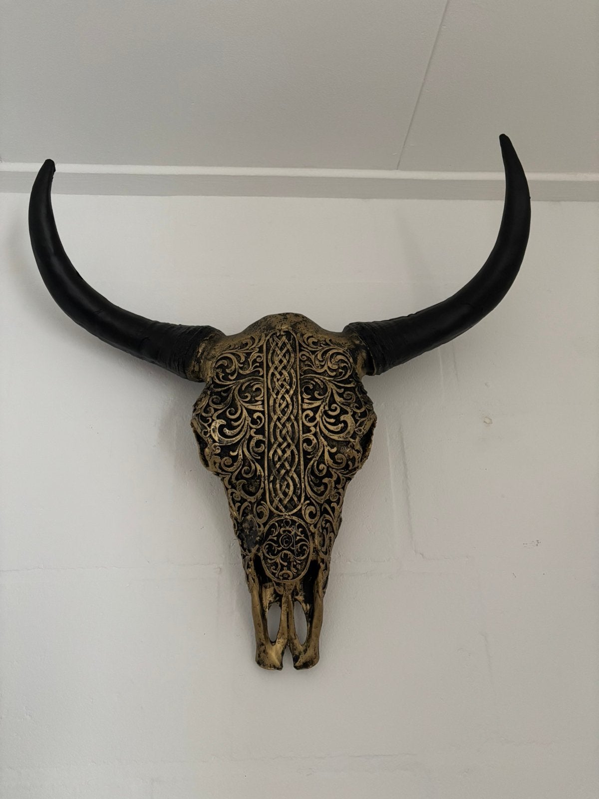 Stieren skull design, Ophalen, Nieuw