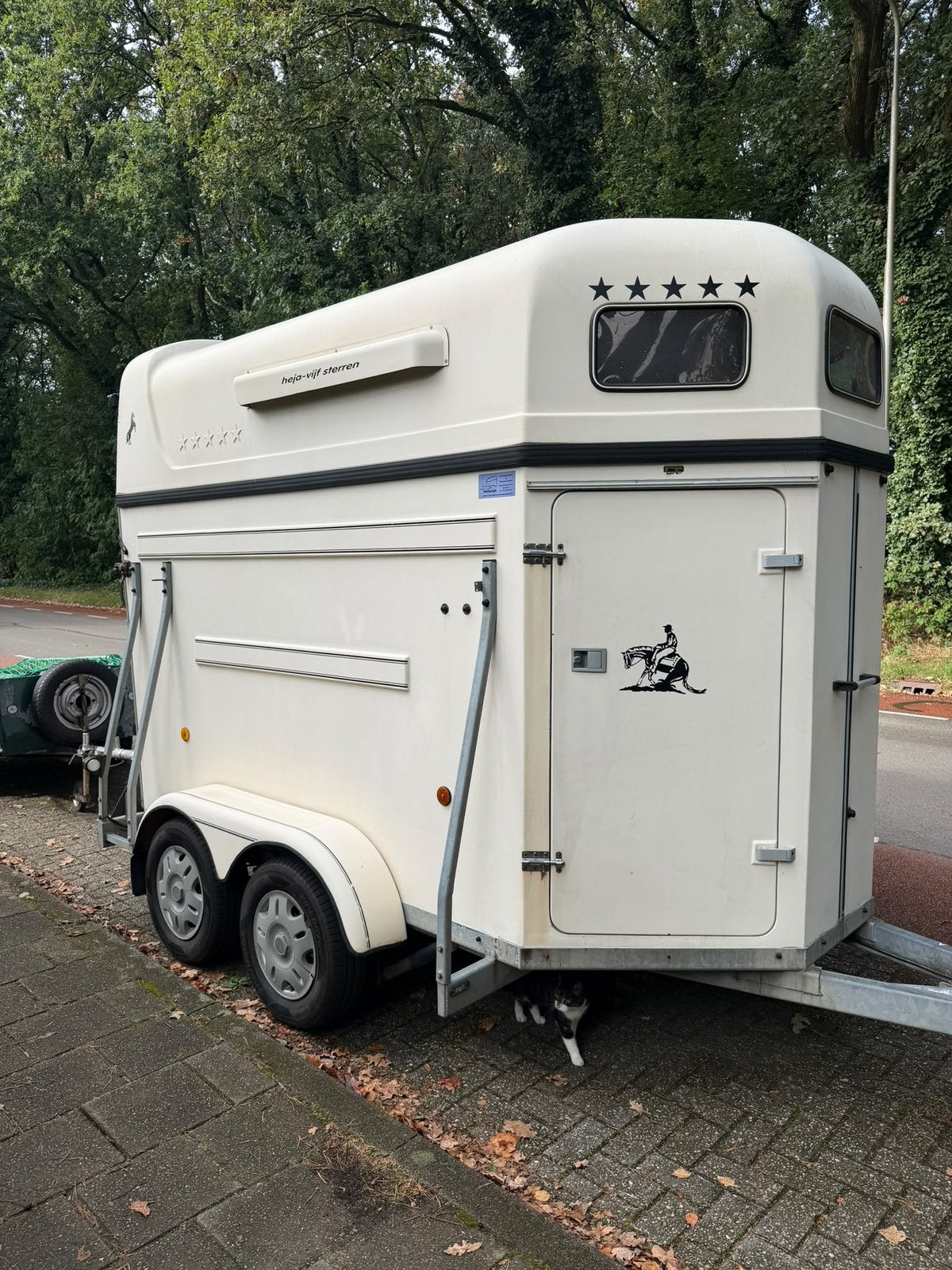 Nette HEJA Vijf Sterren 2-paardstrailer, Dieren en Toebehoren, Ophalen, Gebruikt, Polyester, 2-paards trailer