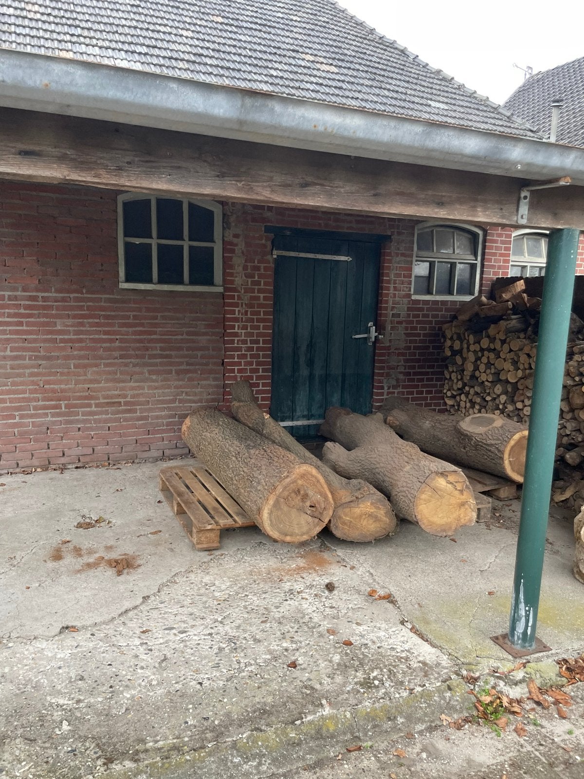 Droge eiken boomstammen voor diverse projecten, Ophalen, Eiken