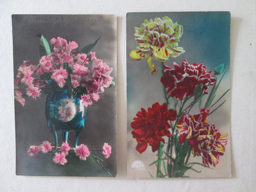 ingekleurde foto anjers bloemen, Ophalen of Verzenden, 1920 tot 1940, Gelopen, Natuur