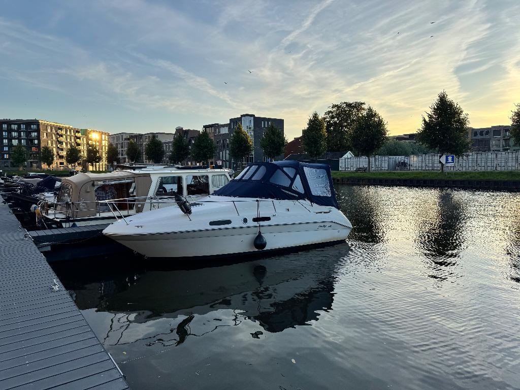 Sea Ray Sundancer 230 (boegschroef) - zeer goed onderhouden, Watersport en Boten, Ophalen, Gebruikt, Binnenboordmotor, 260 pk