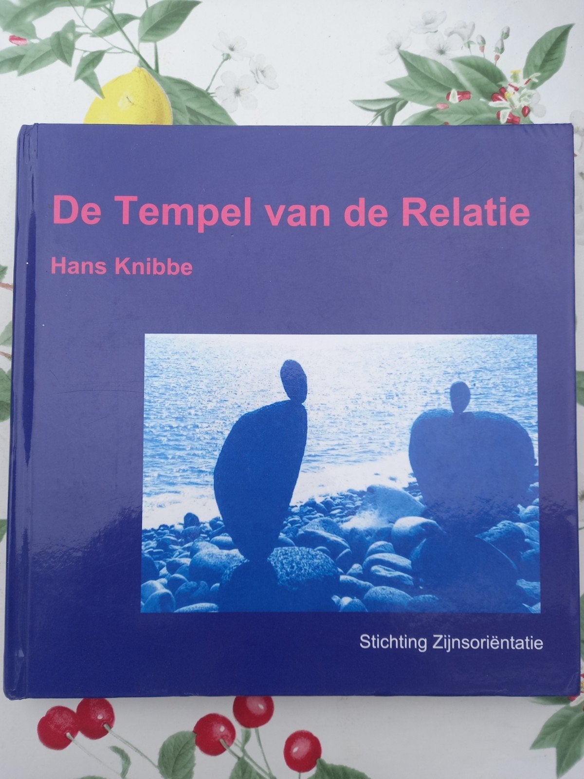 M5 I. van Ooijen - De tempel van de relatie, Zo goed als nieuw, Nederland, I. van Ooijen; Hans Knibbe, Ophalen of Verzenden