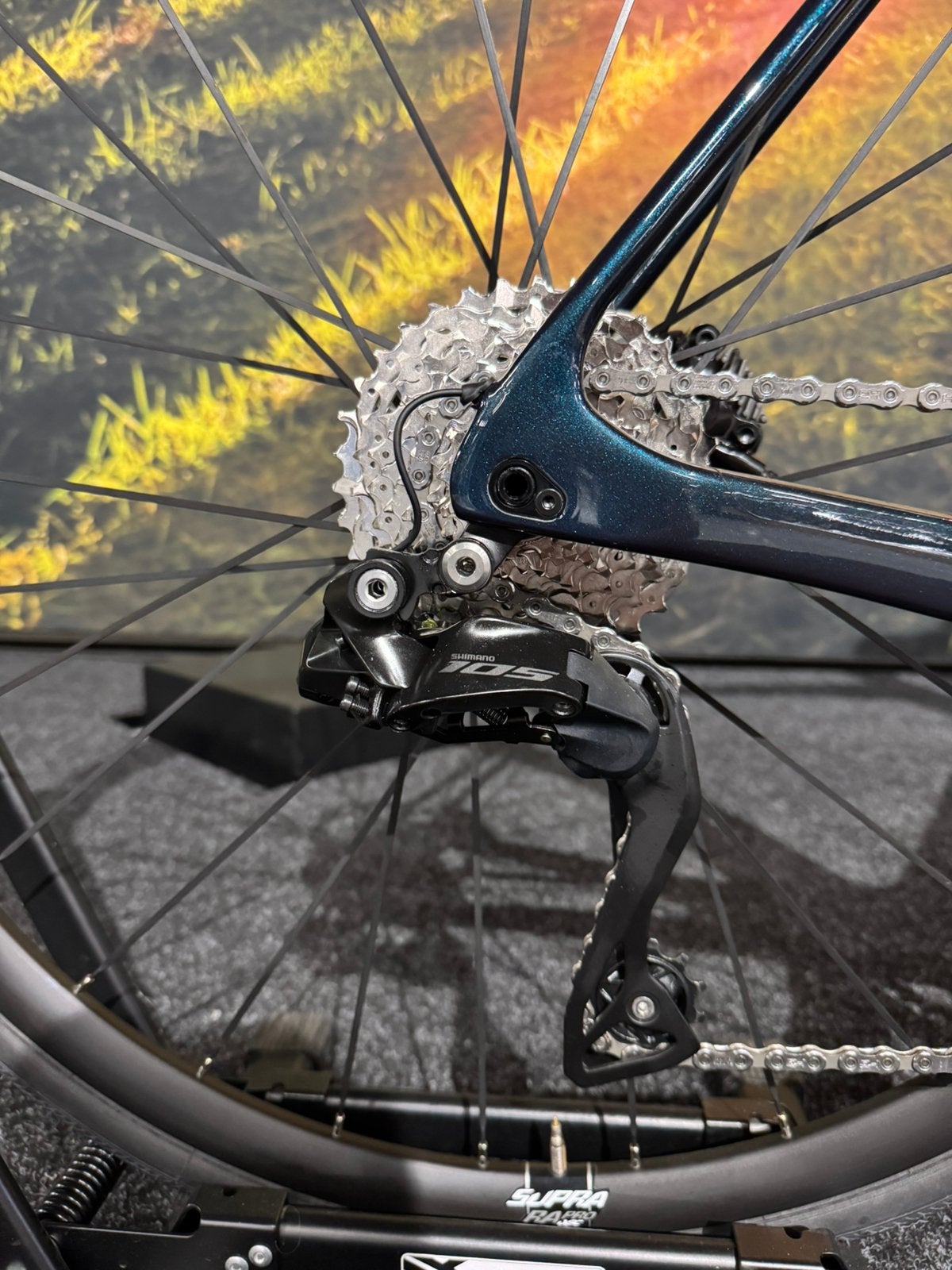 Nieuwe Sensa Giulia GF Di2 special 53&61cm NU €2250,-, Overige merken, 28 inch, Carbon, Nieuw