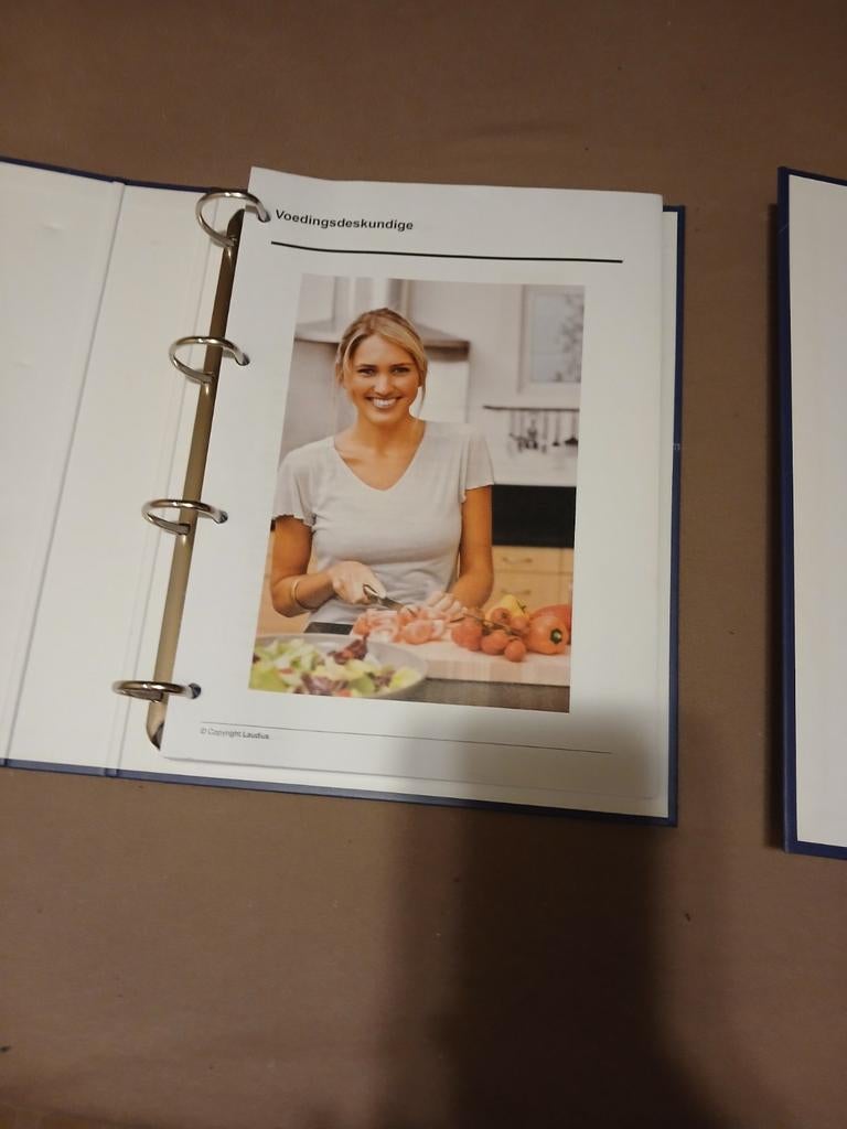 Laudius Thuiscursus Voedingsdeskundige - Zo goed als nieuw, Ophalen of Verzenden, Zo goed als nieuw, Overige niveaus
