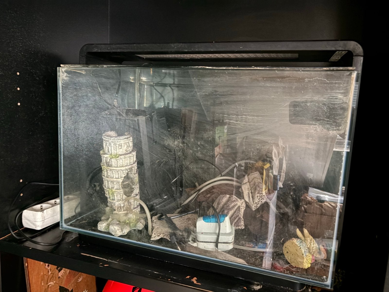 Aquarium, Ophalen