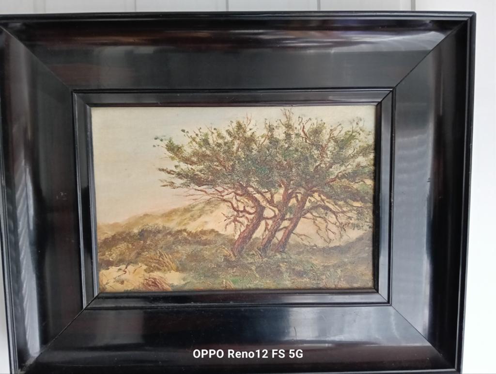 Olieverfschilderij: Landschap met bomen, ingelijst, Antiek en Kunst, Kunst | Schilderijen | Klassiek, Ophalen of Verzenden