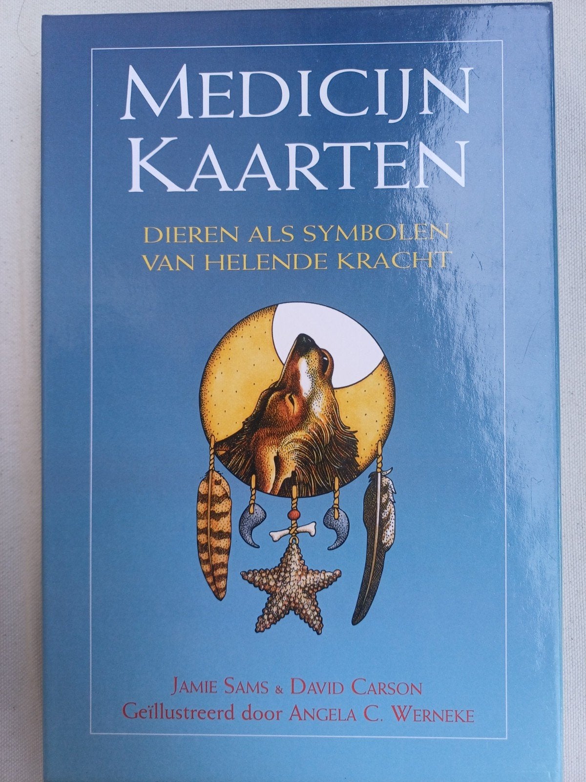 Medicijnkaarten: boek en 44 dierenkaarten, Jamie Sams & David Carson, Tarot of Kaarten leggen, Overige typen, Ophalen of Verzenden