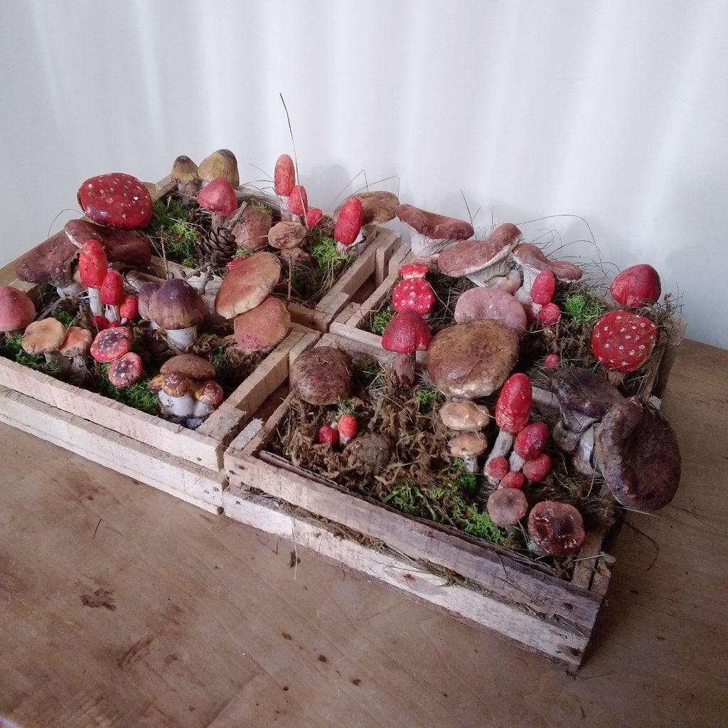 Botanische Papier-mâche paddenstoelen in houten kist, Antiek en Kunst, Verzenden