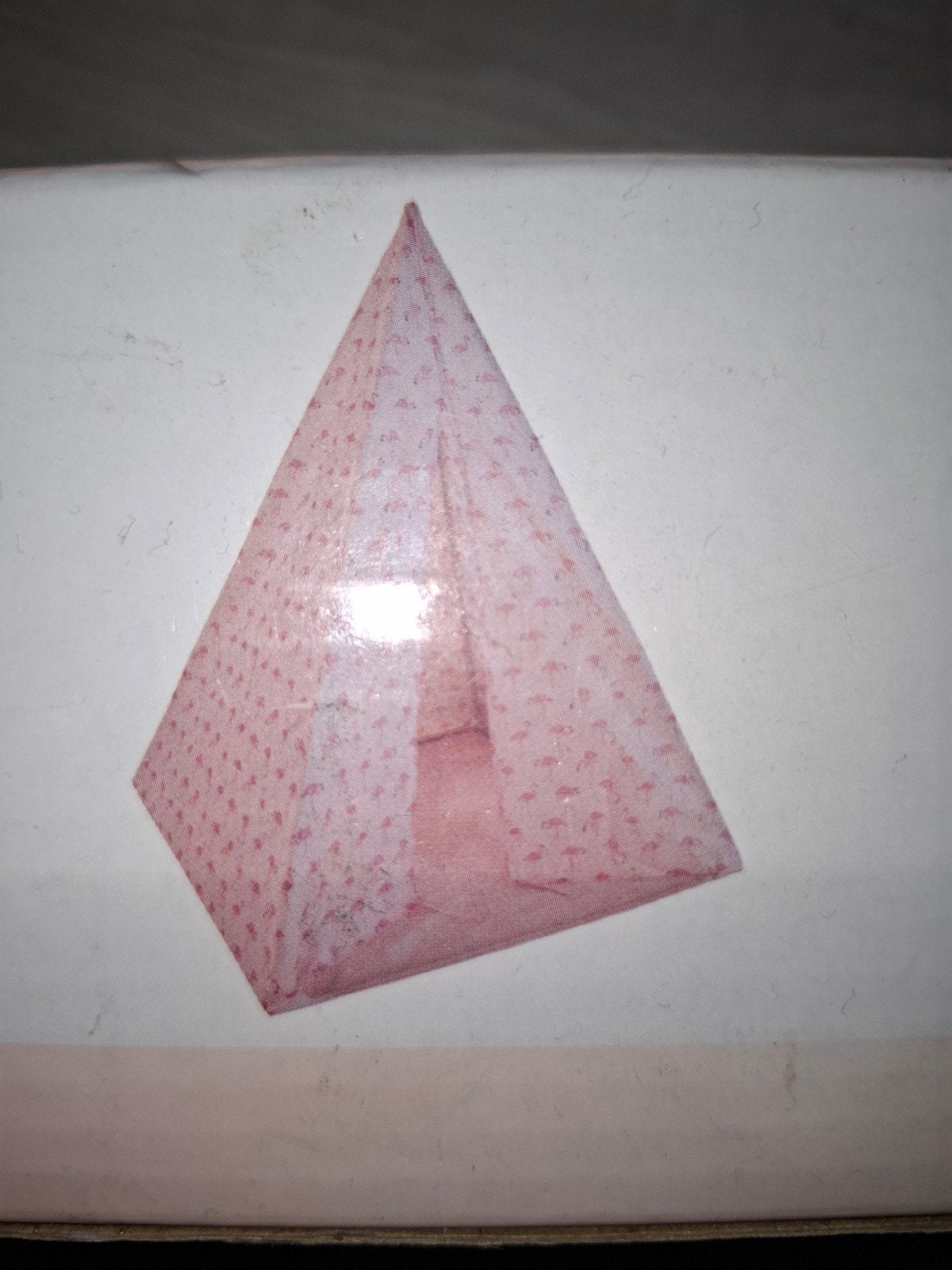 nieuwe roze flamingo Tipi tent, Kinderen en Baby's, Ophalen of Verzenden, Nieuw