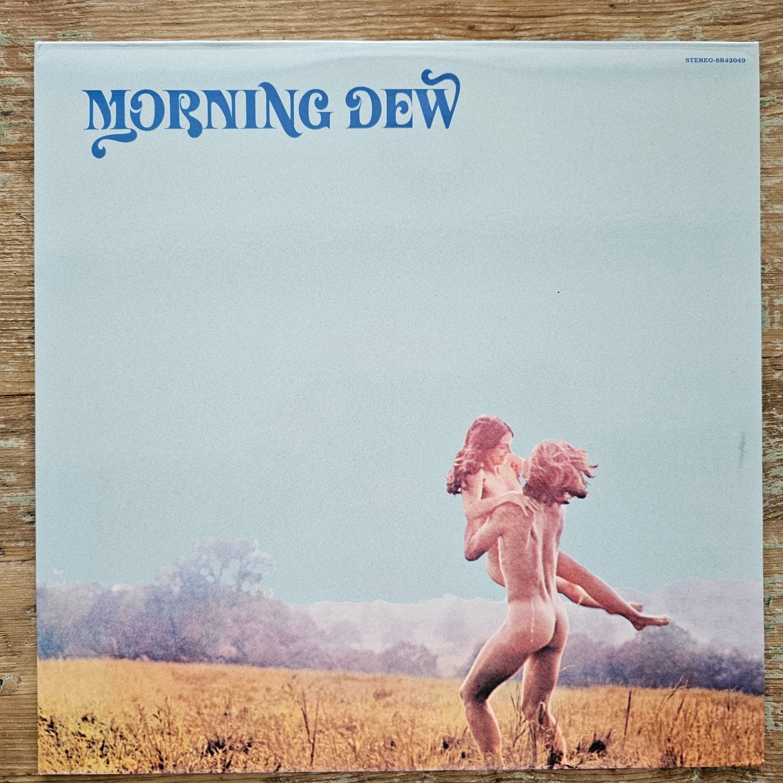 Morning Dew - Morning Dew LP (1969) - Psychedelische Rock, LP, Gebruikt, Originele persing, Ophalen of Verzenden