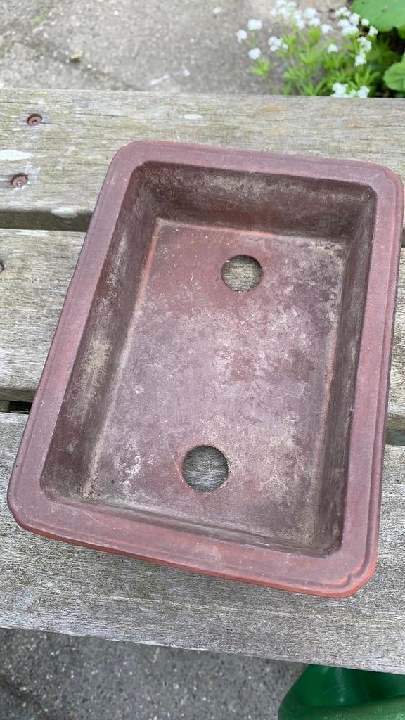 Bonsai schaal, Rond, Ophalen of Verzenden, Zo goed als nieuw, Aardewerk
