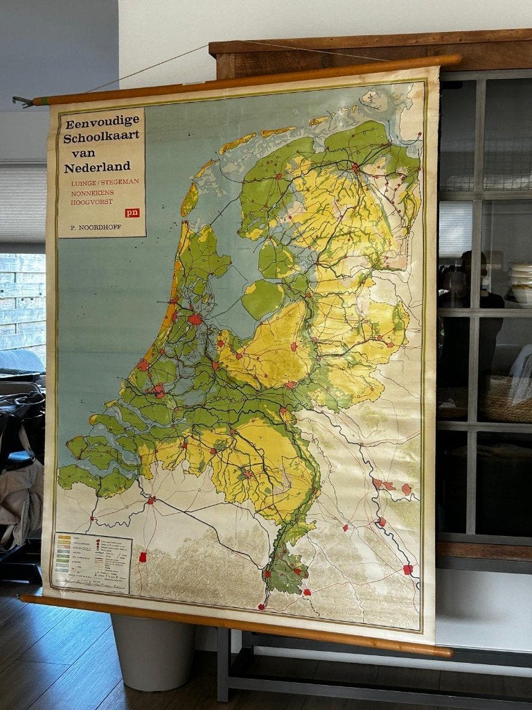 Eenvoudige schoolplaat van Nederland, Antiek en Kunst, Antiek | Schoolplaten, Ophalen of Verzenden, Natuur en Biologie