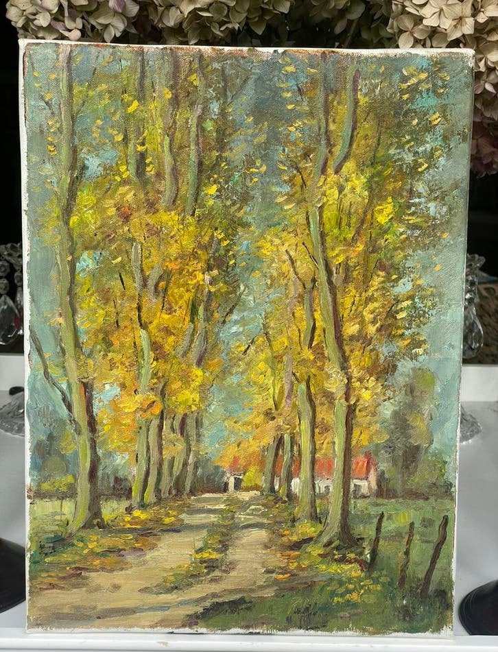 Gouden laan, olie op doek, 30x40, Ophalen of Verzenden