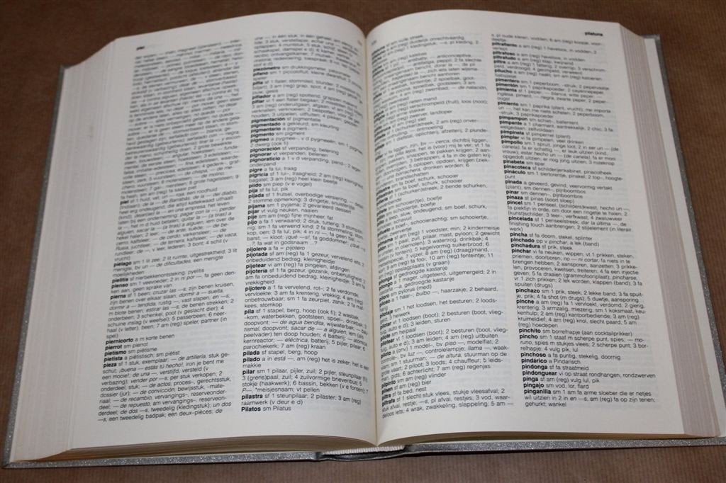 Spaans-Nederlands woordenboek. Jan Schroten., Boeken, Ophalen of Verzenden, Gelezen, Van Dale, Nederlands