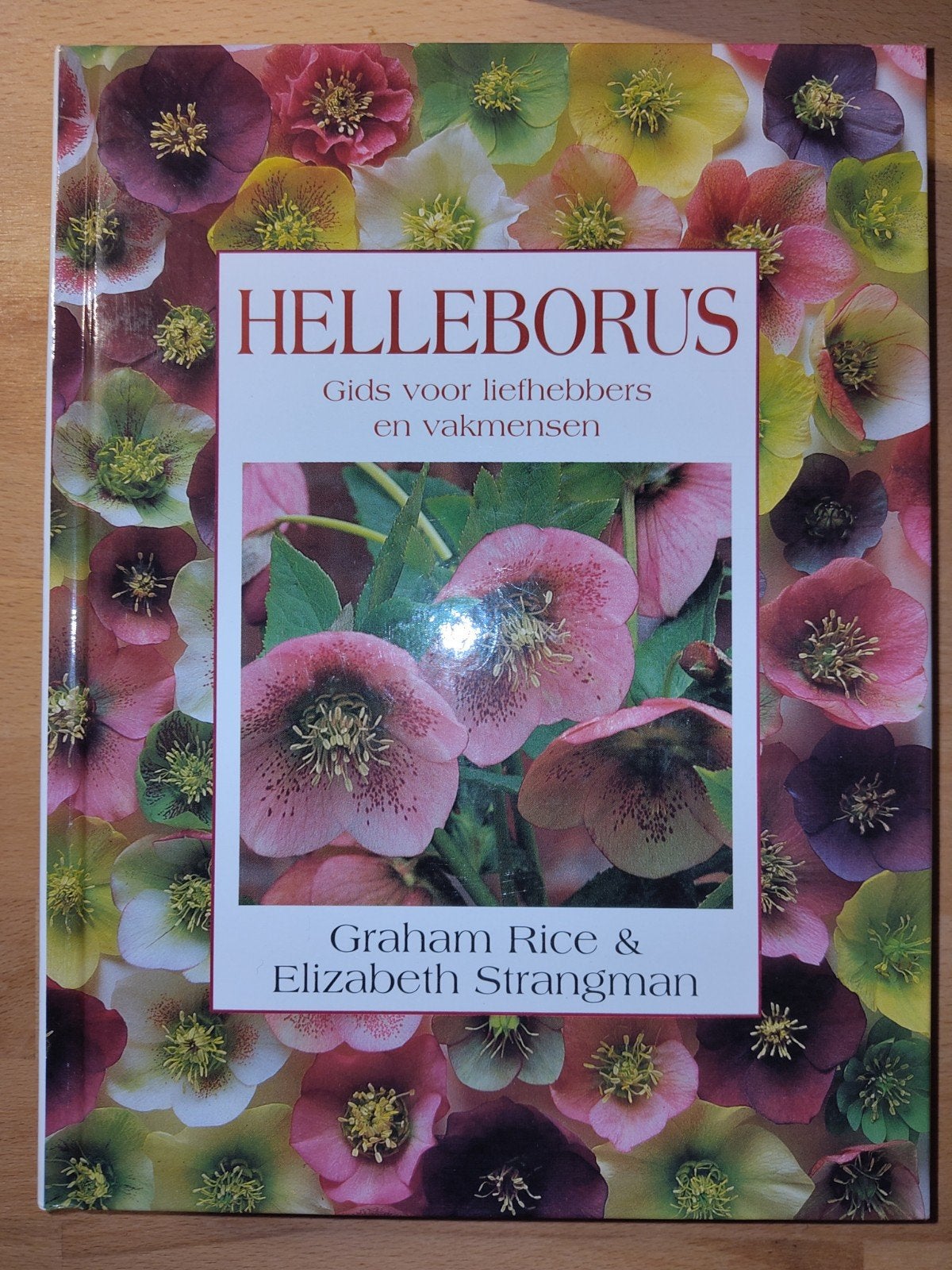 G. Rice - Helleborus, Boeken, Ophalen of Verzenden, Zo goed als nieuw, G. Rice; E. Strangman