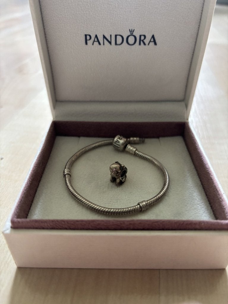 Pandora armband + Geleidehond bedel, Gebruikt, Zilver, Zilver, Met bedels of kralen