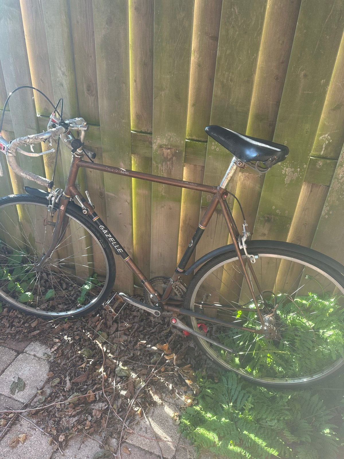 Gazelle Tour de France racefiets, Ophalen, 28 inch, Gebruikt, Gazelle