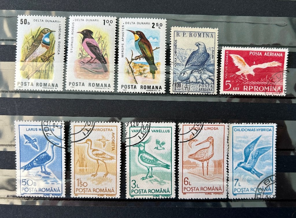 restantje Roemenië vogels, Verzenden, Dier of Natuur