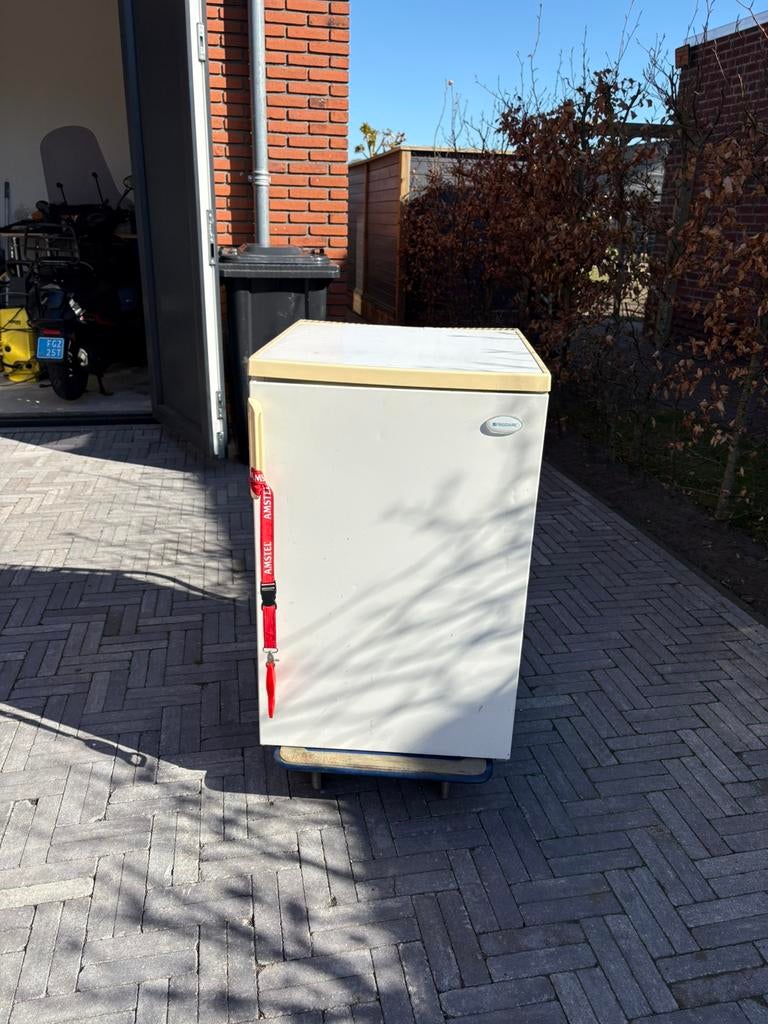 GRATIS ZSM AFHALEN! Koelkast met vries gedeelte diepvries, Ophalen, Zo goed als nieuw, Minder dan 60 cm, 160 cm of meer