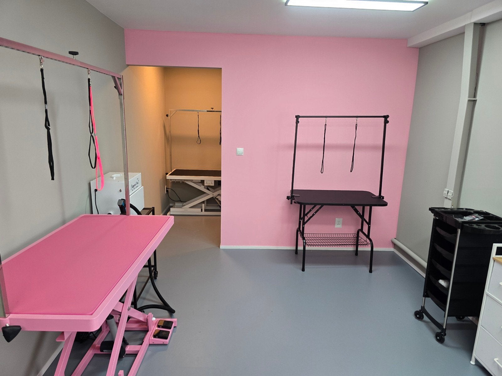 groomer, trimsalon, hondenkapper