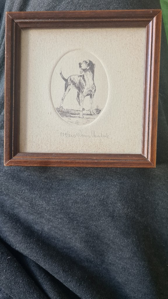 Zeer fraaie tekening van hond - passe partout, Ophalen of Verzenden, Tekening, Pentekening, Genummerd