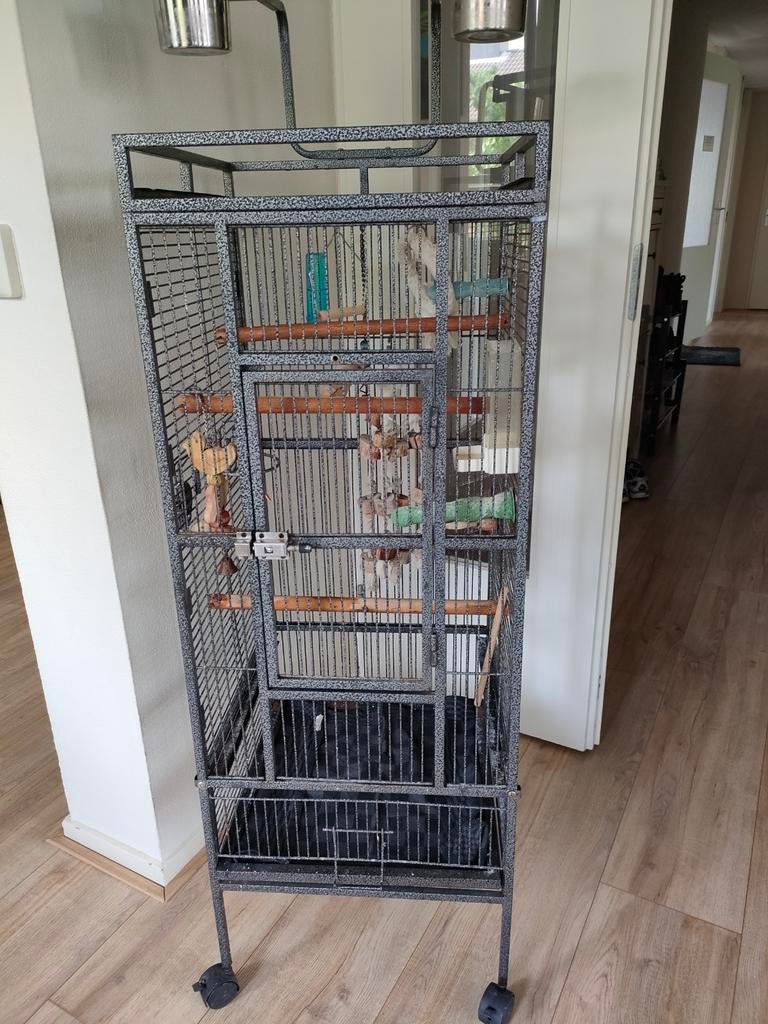 Vogel/ papegaaien kooi, Ophalen, Zo goed als nieuw, Metaal, Vogelkooi