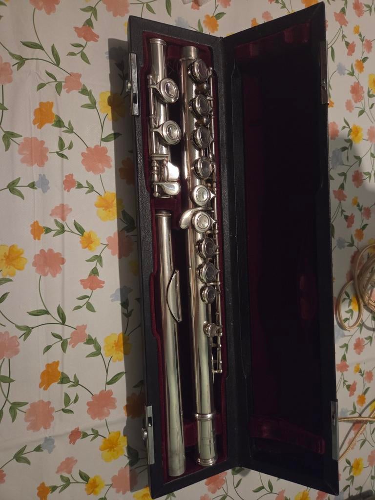 Takumi Dwarsfluit T100-S uit Japan - Goede staat, Muziek en Instrumenten, Blaasinstrumenten | Dwarsfluiten en Piccolo's, Ophalen of Verzenden