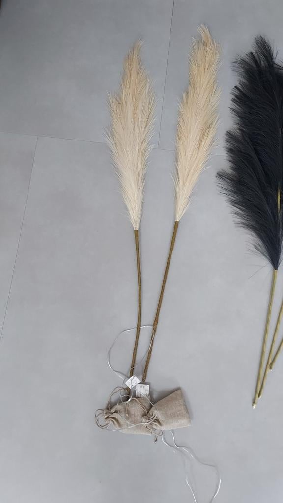 Decoratieve pluimen in verschillende kleuren, Ophalen