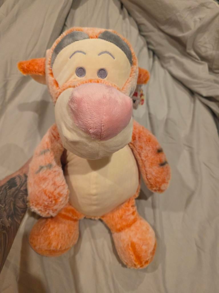 Disney Winnie de Poeh Tijgertje knuffel, Kinderen en Baby's, Speelgoed | Knuffels en Pluche, Ophalen of Verzenden, Nieuw