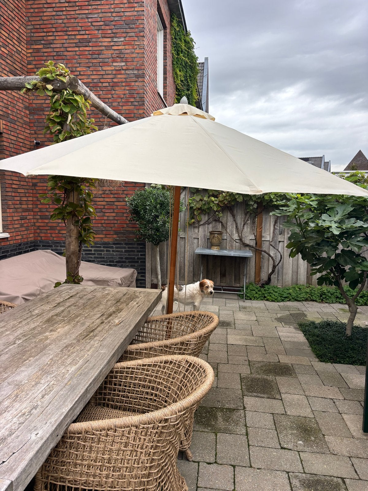 Borek parasol crème met extra taupe doek 3 m doorsnee, Ophalen, Gebruikt, 2 tot 3 meter, Stokparasol