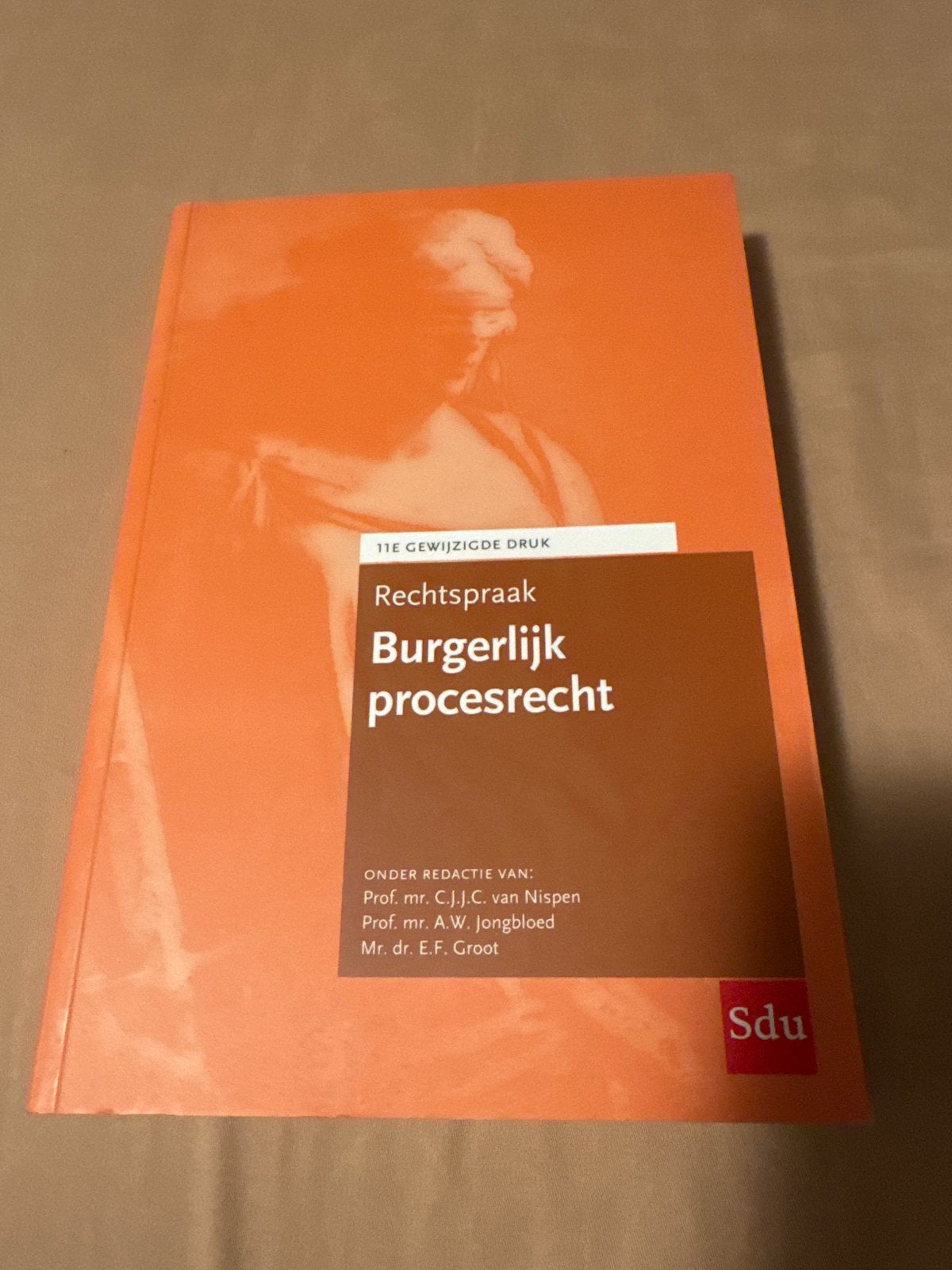 Rechtspraak Burgerlijk procesrecht - 11e druk, Ophalen of Verzenden, Gamma, Zo goed als nieuw, HBO