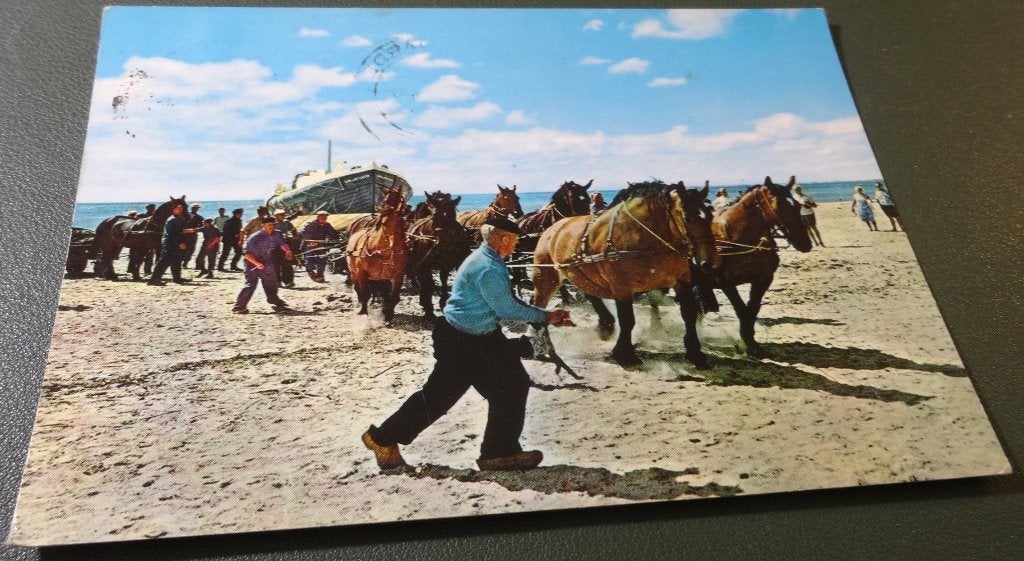 Paarden - Reddingsboot uit zee getrokken - Ameland Hollum, Verzamelen, Verzenden, 1960 tot 1980, Gelopen, Paard