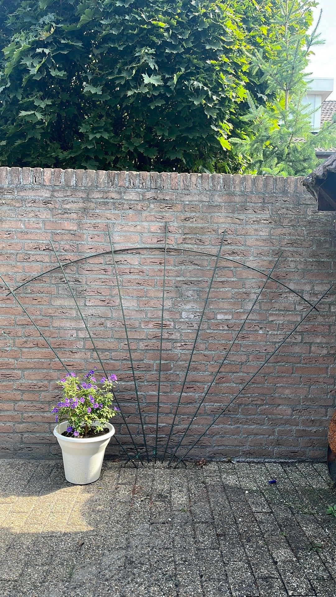 Klimop waaier/trellis betonijzer/staal, Ophalen of Verzenden, Gebruikt