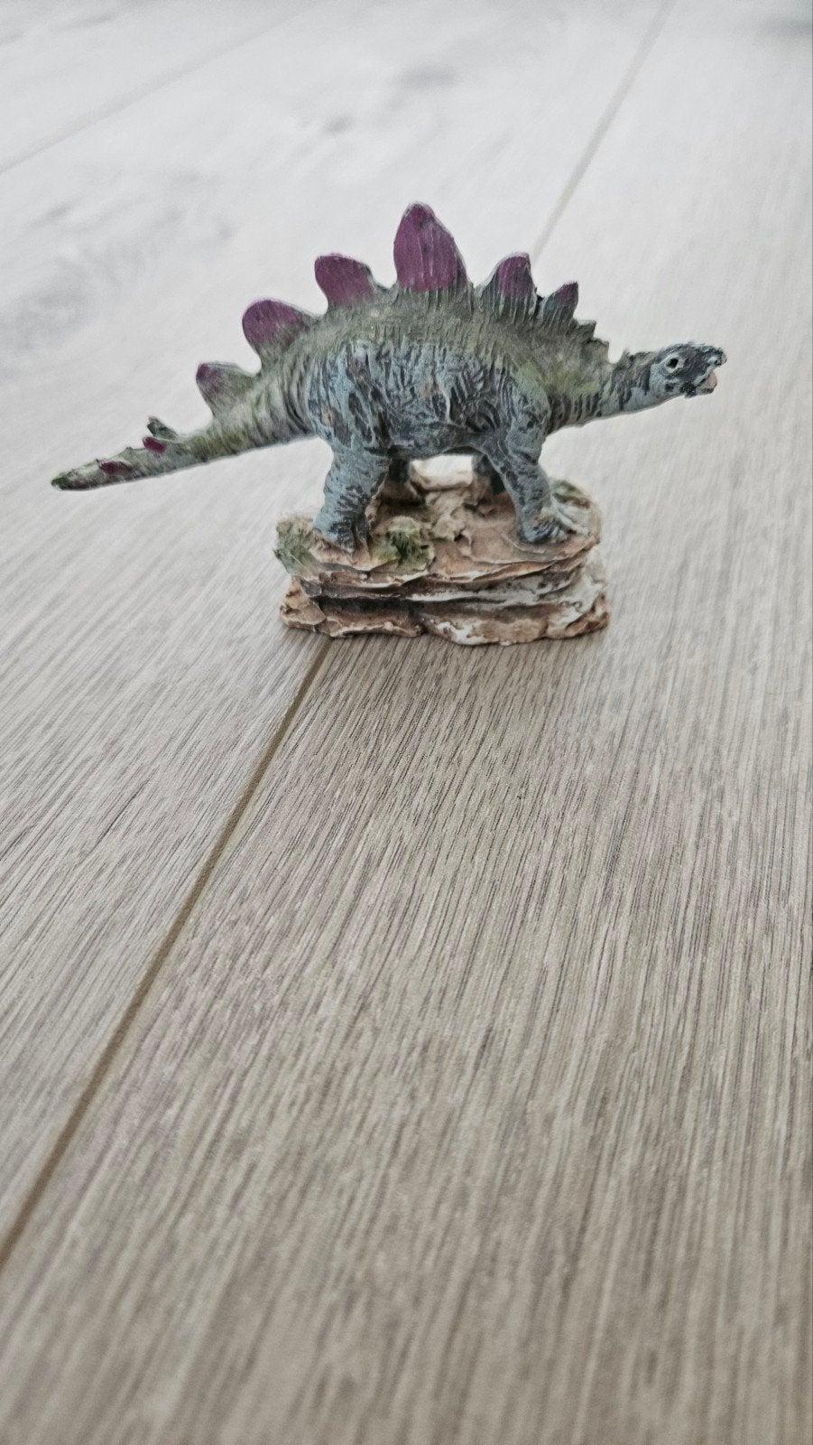 Vissenkom decoratie, Dieren en Toebehoren, Ophalen of Verzenden, Leeg aquarium
