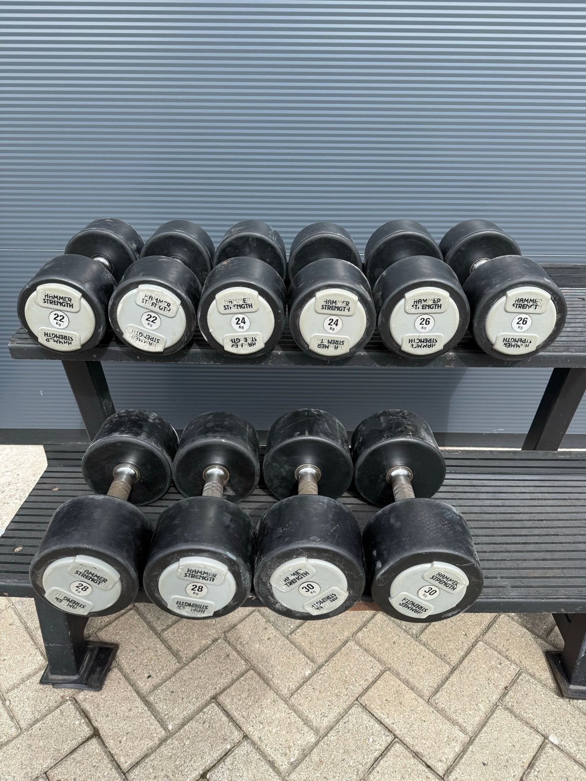 Hammer Strength Dumbbell Set 22-30kg met rek, Sport en Fitness, Ophalen, Gebruikt, Armen, Dumbbell