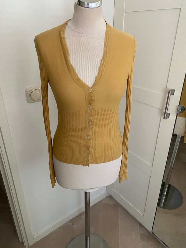 BY MALENE BIRGER Geel vestje maat S, Kleding | Dames, Truien en Vesten, Zo goed als nieuw, Maat 36 (S), Geel, Ophalen of Verzenden