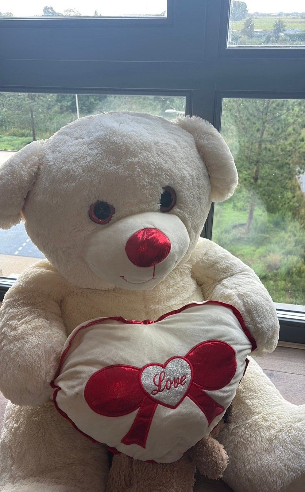 XXL teddy beer, Ophalen of Verzenden, Zo goed als nieuw, Stoffen beer, Overige merken