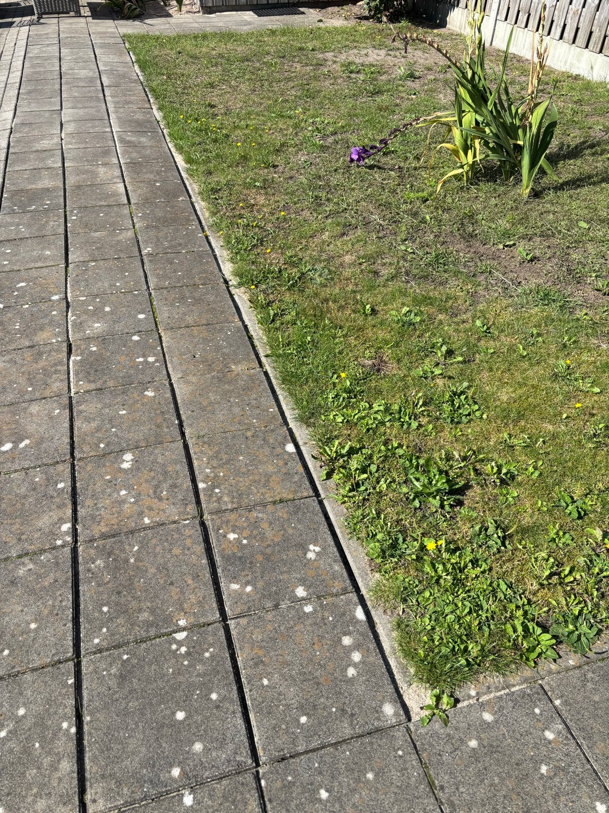 Gebruikte betontegels voor terras of pad, Tuin en Terras, Tegels en Klinkers, Ophalen, Gebruikt, 10 m² of meer, Beton