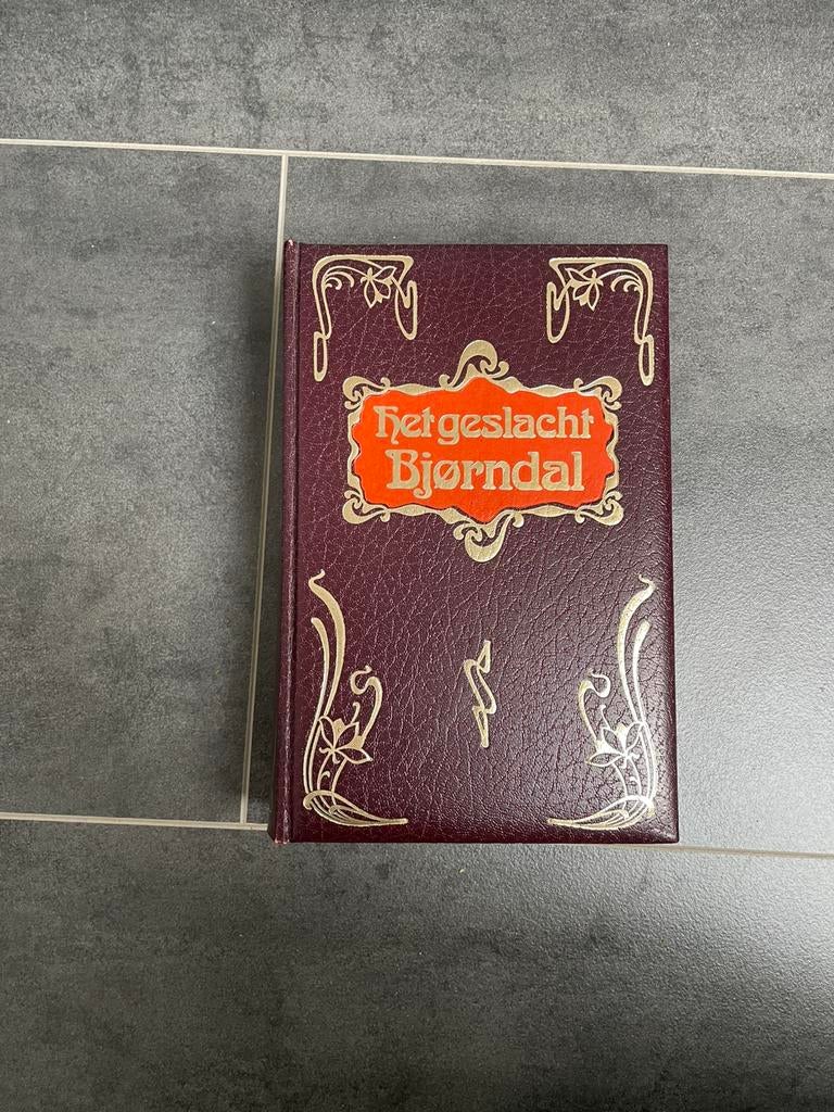 Het Geslacht Bjørndal, Ophalen of Verzenden, Gelezen, Europa overig