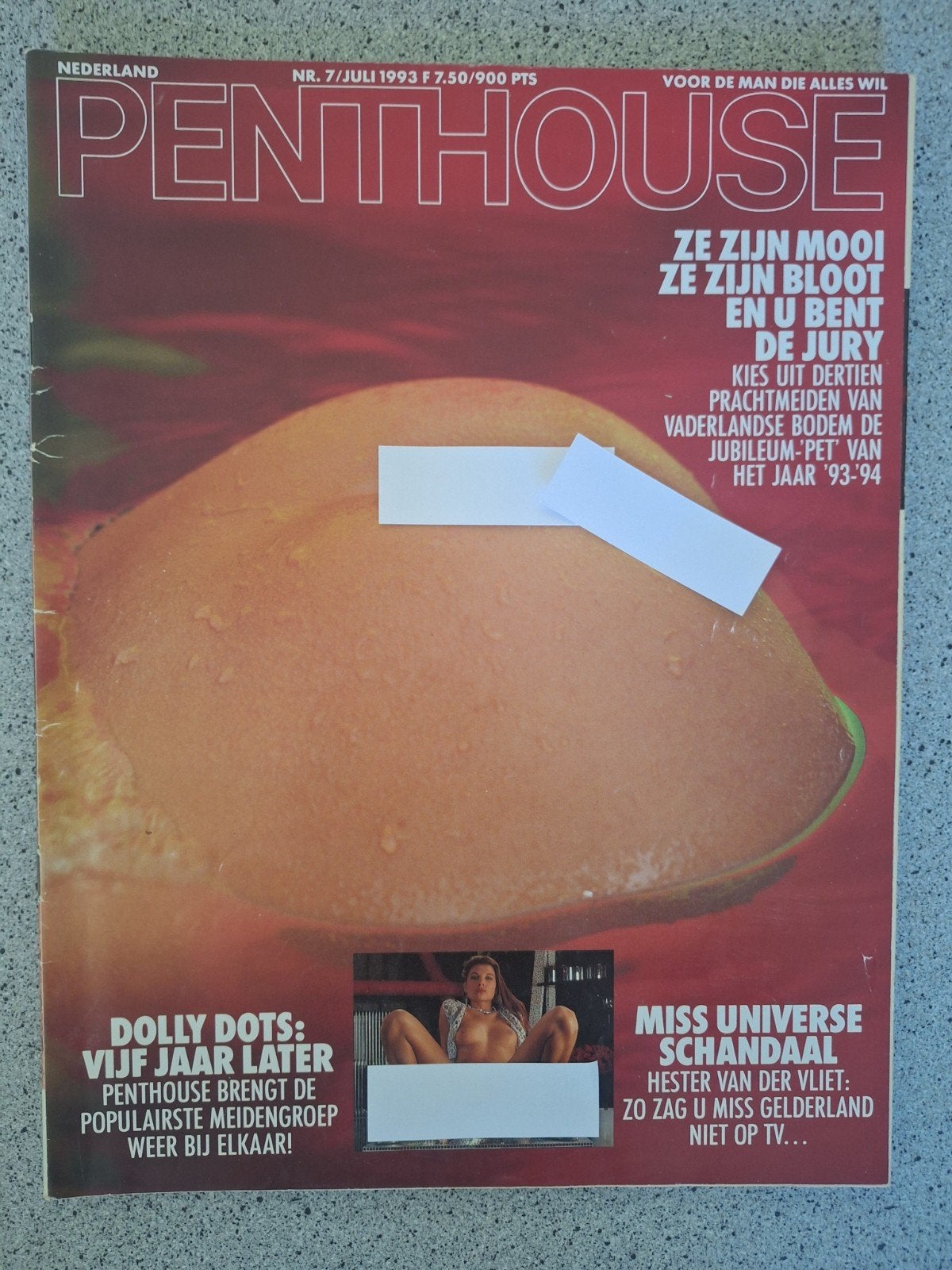 Penthouse Magazine Nederland - Juli 1993, Boeken, Tijdschriften en Kranten, Ophalen of Verzenden, Gelezen, Overige typen