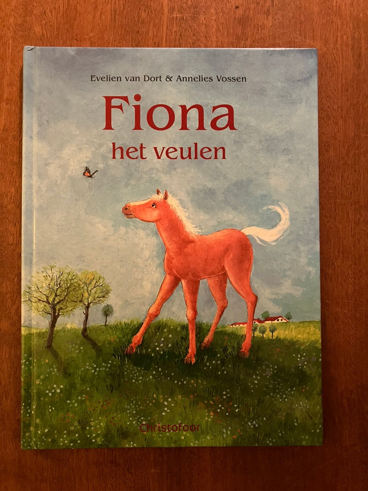 Christofoor Fiona het veulen Evelien van Dort & Vossen, Ophalen of Verzenden, Zo goed als nieuw