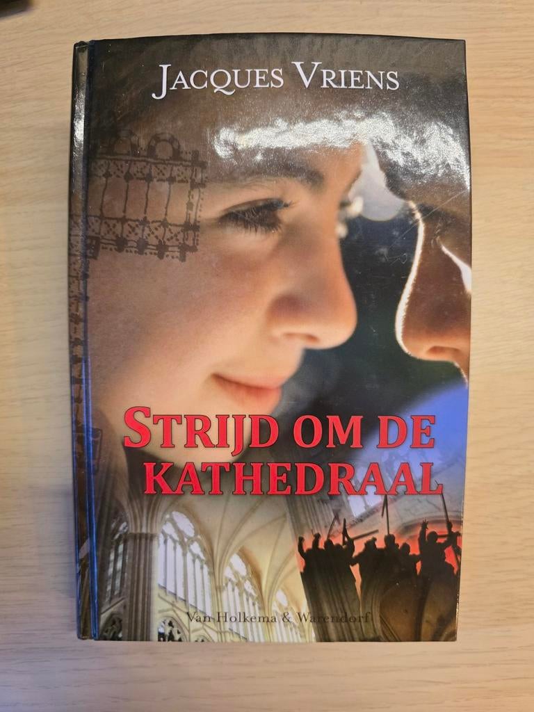 Strijd om de Kathedraal - Jacques Vriens (Jeugdboek), Ophalen of Verzenden, Gelezen, Jacques Vriens, Fictie