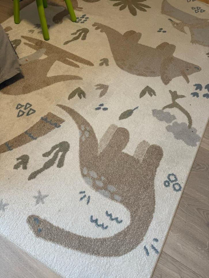 Dinosaurus kleed en eventuele accessoires, Ophalen, 100 tot 150 cm, 200 cm of meer, Zo goed als nieuw