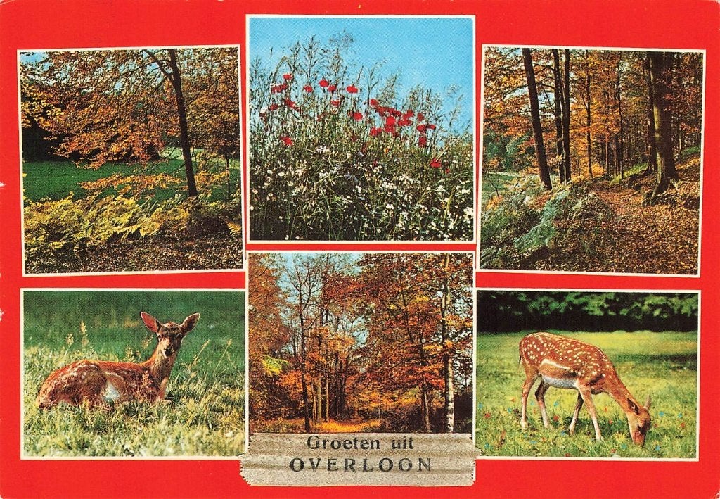 Groeten uit Overloon, Ophalen of Verzenden, 1960 tot 1980, Gelopen, Noord-Brabant